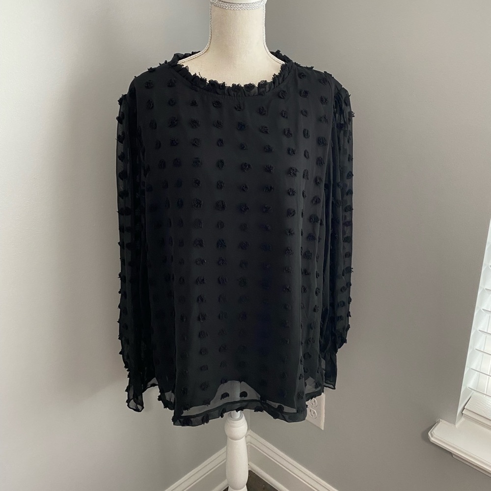 Black shear long sleeves blouse